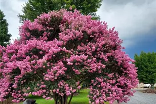 637 Stokesburg Rd, Walnut Cove, NC 27052 - Photo 47