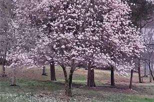 637 Stokesburg Rd, Walnut Cove, NC 27052 - Photo 49