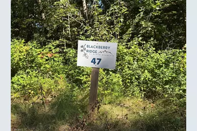 Tract 47 Widow Mountain Drive, McGrady, NC 28649 - Photo 5