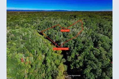 1849 Mission Extension Road, Danbury, NC 27016 - Photo 19