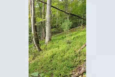 1849 Mission Extension Road, Danbury, NC 27016 - Photo 15