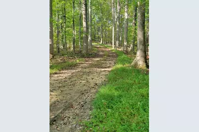 1849 Mission Extension Road, Danbury, NC 27016 - Photo 3