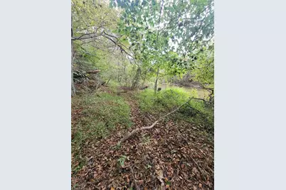 1849 Mission Extension Road, Danbury, NC 27016 - Photo 13