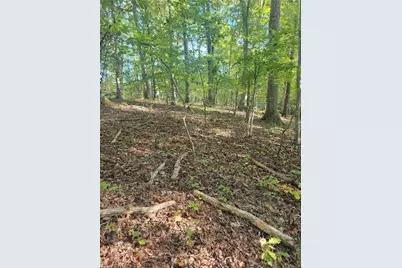 1849 Mission Extension Road, Danbury, NC 27016 - Photo 5