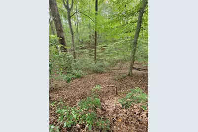 1849 Mission Extension Road, Danbury, NC 27016 - Photo 11