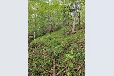 1849 Mission Extension Road, Danbury, NC 27016 - Photo 7