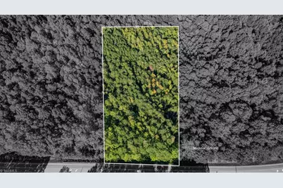 00 N Nc Highway 86 N, Yanceyville, NC 27379 - Photo 11