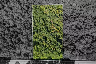 00 N Nc Hwy 86 N, Yanceyville, NC 27379 - Photo 11