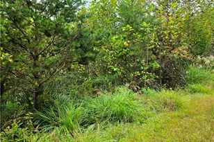 00 Holly Brook St, North Wilkesboro, NC 28659 - Photo 1