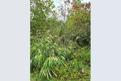 00 Holly Brook Street, North Wilkesboro, NC 28659 - Photo 3