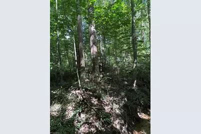 924 Sunset Road, Clemmons, NC 27012 - Photo 5