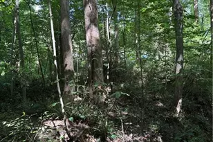 924 Sunset Rd, Clemmons, NC 27012 - Photo 5