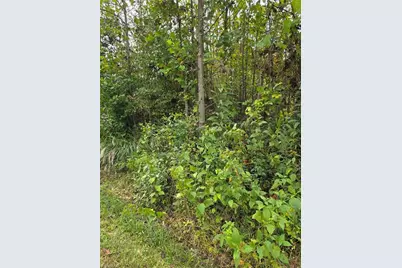 000 Holly Brook Street, North Wilkesboro, NC 28659 - Photo 3