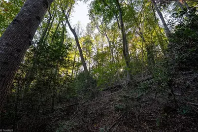 00 Shell Creek Road, Ferguson, NC 28624 - Photo 23