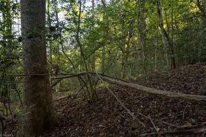 00 Shell Creek Road, Ferguson, NC 28624 - Photo 21