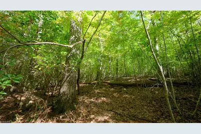 0 Dearmin Road, Westfield, NC 27053 - Photo 17