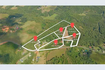 0 Dearmin Road, Westfield, NC 27053 - Photo 7