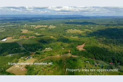 0 Dearmin Road, Westfield, NC 27053 - Photo 5