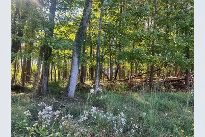 Tbd Golf Course Road, Pilot Mountain, NC 27041 - Photo 13