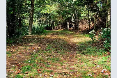 Tbd Blue Ridge Church Road, Purlear, NC 28665 - Photo 11