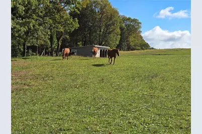 Tbd Blue Ridge Church Road, Purlear, NC 28665 - Photo 3