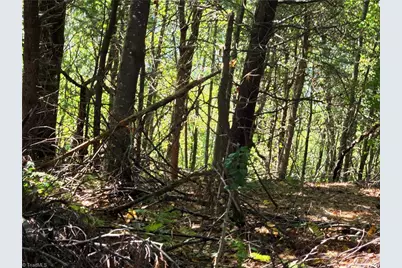 Tbd Blue Ridge Church Road, Purlear, NC 28665 - Photo 13