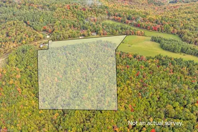 Tbd Blue Ridge Church Road, Purlear, NC 28665 - Photo 7