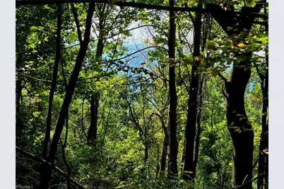 Tbd Blue Ridge Church Road, Purlear, NC 28665 - Photo 17