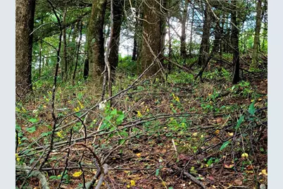 Tbd Blue Ridge Church Road, Purlear, NC 28665 - Photo 15