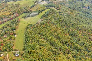 Tbd Blue Ridge Church Rd, Purlear, NC 28665 - Photo 1