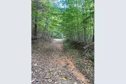 00 Bear Hollow Lane, North Wilkesboro, NC 28659 - Photo 3