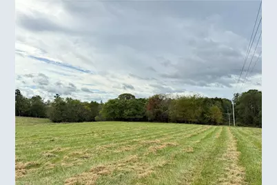 310 Jessup Grove Church Road, Pilot Mountain, NC 27041 - Photo 19