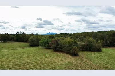 310 Jessup Grove Church Road, Pilot Mountain, NC 27041 - Photo 9