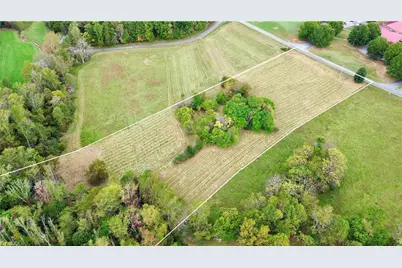 310 Jessup Grove Church Road, Pilot Mountain, NC 27041 - Photo 3