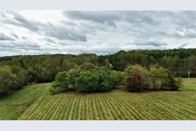 310 Jessup Grove Church Road, Pilot Mountain, NC 27041 - Photo 11