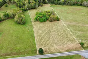 310 Jessup Grove Church Rd, Pilot Mountain, NC 27041 - Photo 1