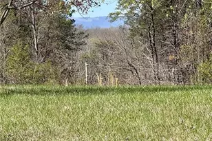 105 Pepperbush Trail, Dobson, NC 27017 - Photo 43