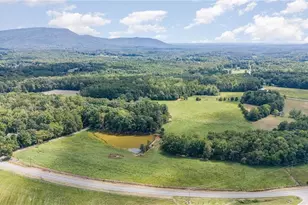 3607 Nc Hwy 268, Pilot Mountain, NC 27041 - Photo 37