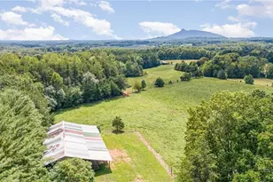 3607 Nc Hwy 268, Pilot Mountain, NC 27041 - Photo 39