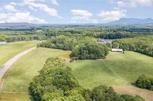 3607 Nc Hwy 268, Pilot Mountain, NC 27041 - Photo 41