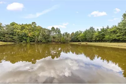 3168 Benny Lineberry Road, Climax, NC 27233 - Photo 45