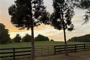 3168 Benny Lineberry Rd, Climax, NC 27233 - Photo 49