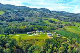 379 Turtle Rdg Rd, Sparta, NC 28675 - Photo 15