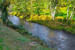 379 Turtle Rdg Rd, Sparta, NC 28675 - Photo 13