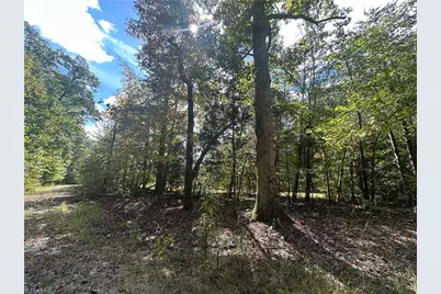 8410 Linville Road, Oak Ridge, NC 27319 - Photo 11