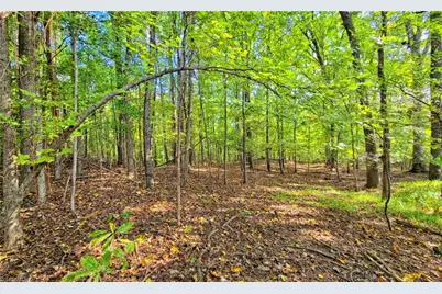 2301 Griffith Road, Winston-Salem, NC 27103 - Photo 43