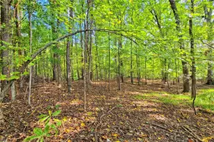 2301 Griffith Rd, Winston-Salem, NC 27103 - Photo 43