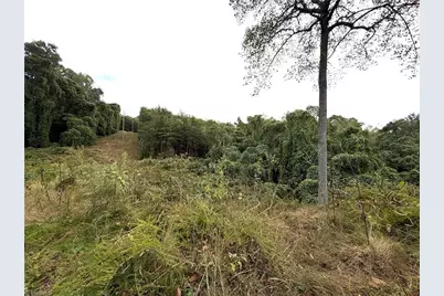 0 Friendship Road, Germanton, NC 27019 - Photo 7