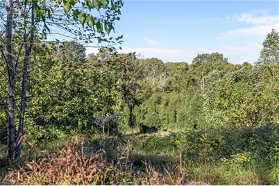 4.45Acres Gib Ferguson Road, King, NC 27021 - Photo 9