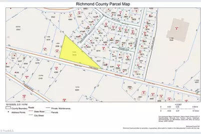 0 Hylan Avenue, Hamlet, NC 28345 - Photo 13